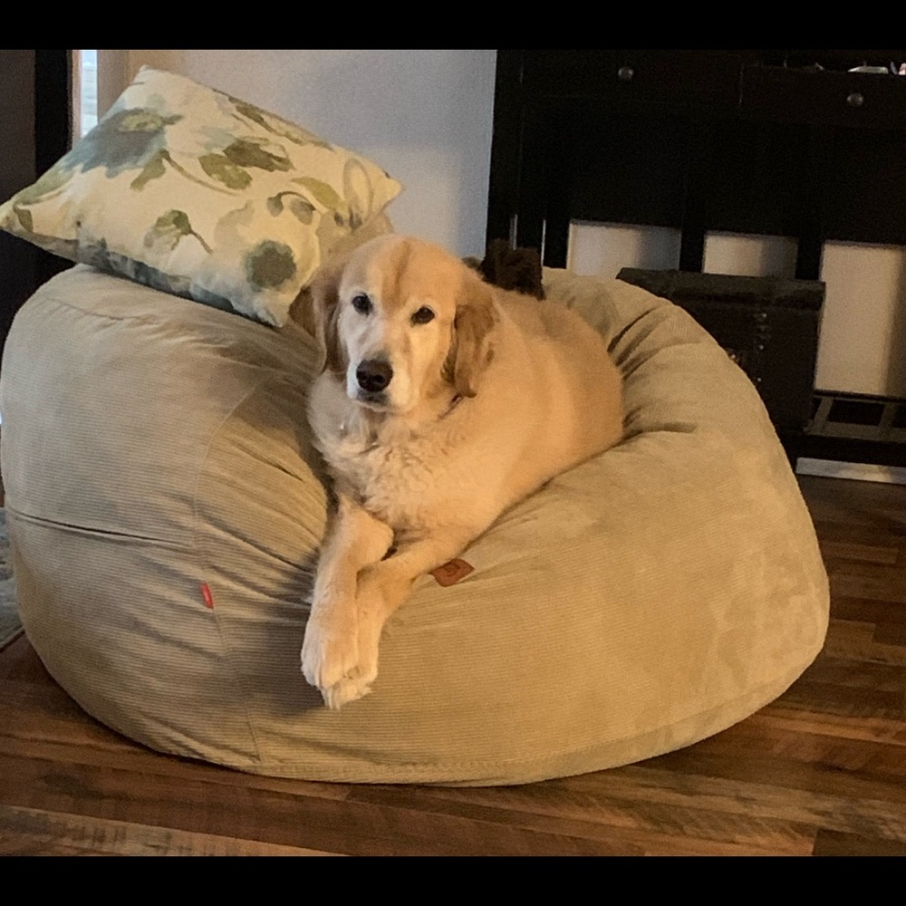 Hello Poshers!!! Have a Great Day!!! 💕